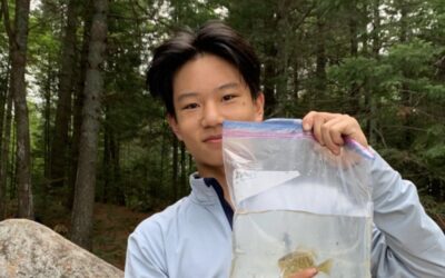https://caao.ca/wp-content/uploads/2025/09/Ethan-Wang-400x250.jpg